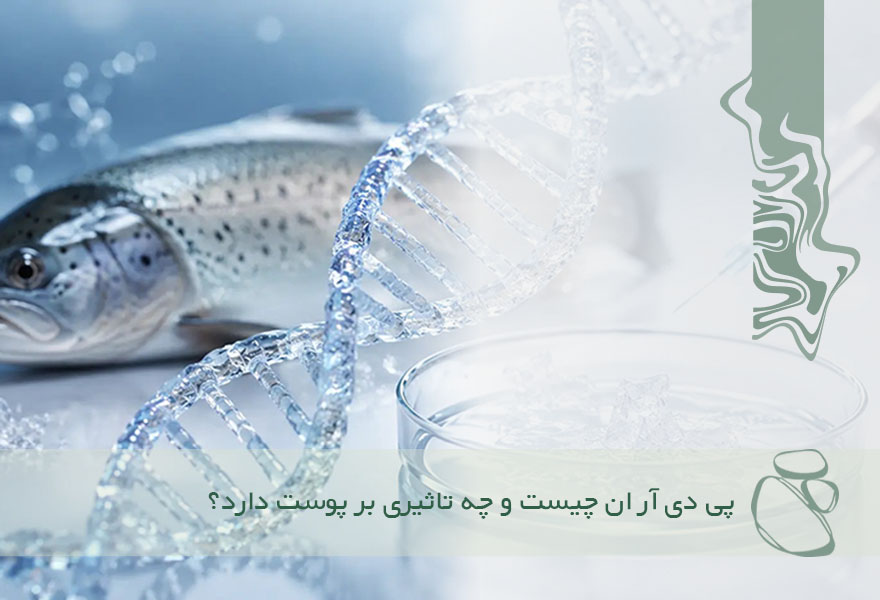 PDRN چیست؟ بررسی تاثیر DNA ماهی سالمون در ترمیم و پوست